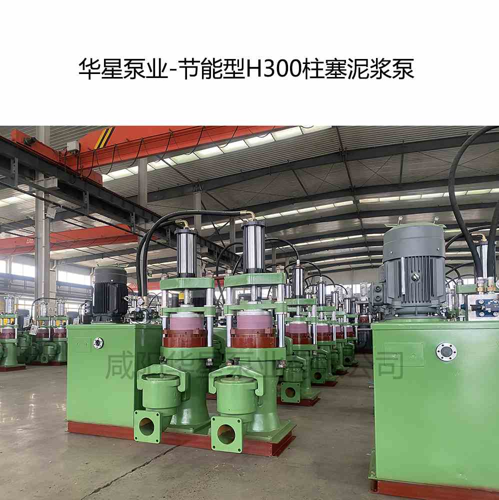 客戶購買一臺節(jié)能型H300陶瓷柱塞泵